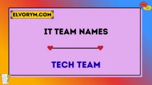 IT team names