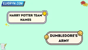 Harry Potter team names