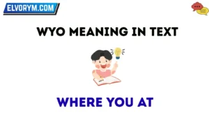 wyo meaning in text
