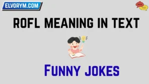 rofl meaning in text