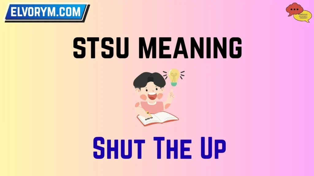 stsu meaning