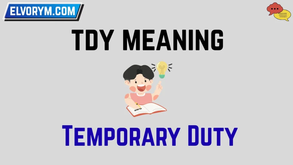 tdy meaning