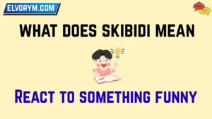 what does skibidi mean