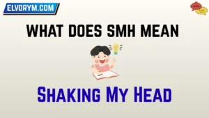 what does smh mean
