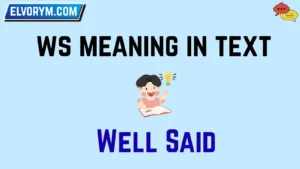 ws meaning in text