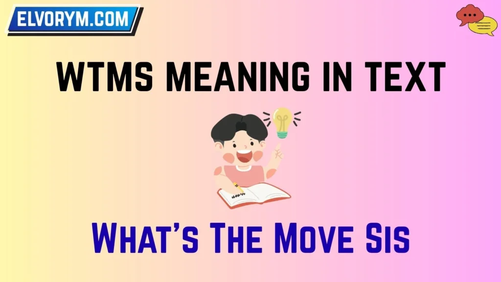 wtms meaning in text