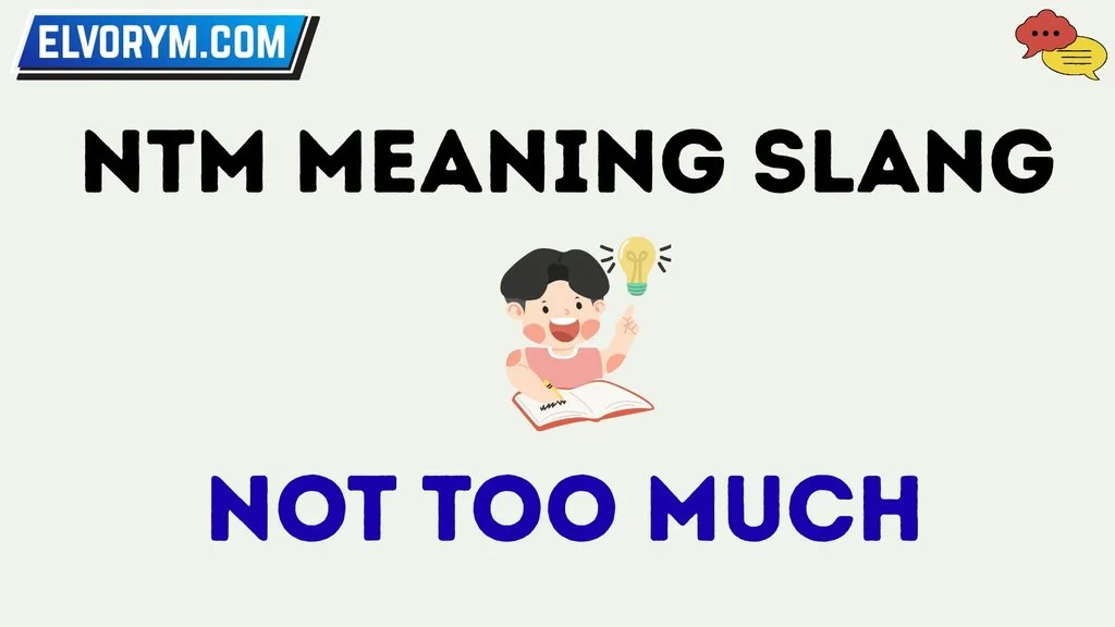 ntm meaning slang