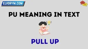 pu meaning in text